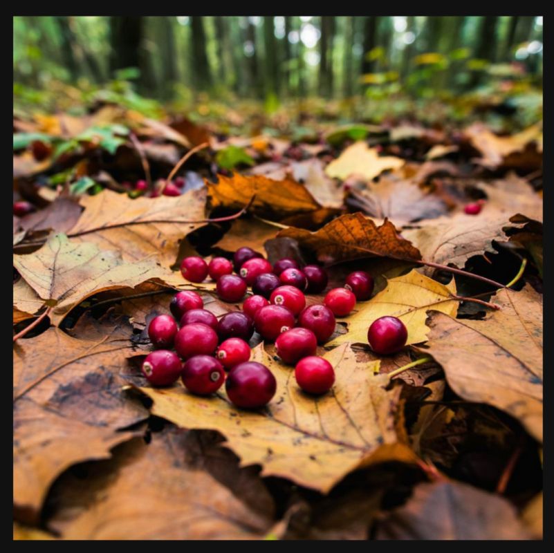 ��������� ��������: ��� ������� ���������� ���������-��������� ��������