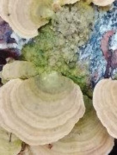 ������� ��� � ����: ������ ���������� ����� ����� � ����� ������