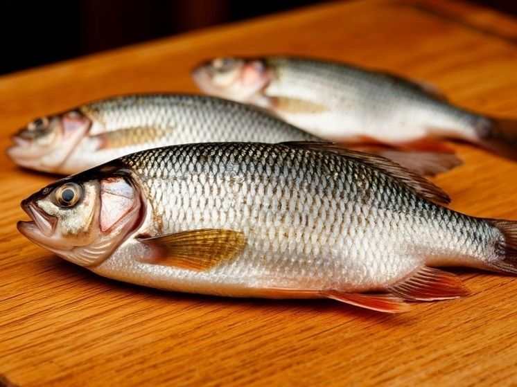 ����� ��� ����������� ���������: ����� �� �� �������� � ������?