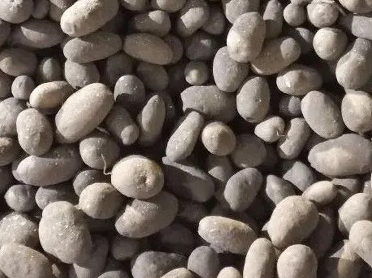 �� ���� ������������ ������� ���������� �������� ��������� �� ������������