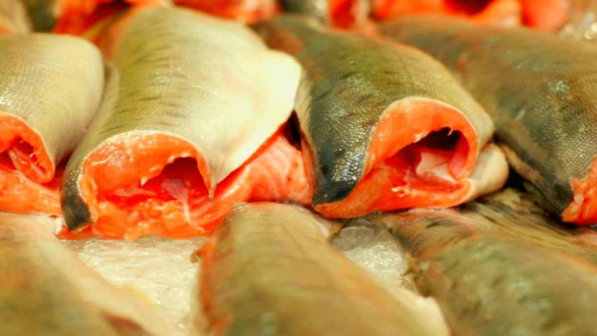 ������� � �����: ��� ����� �� ������� �� ���� ������?