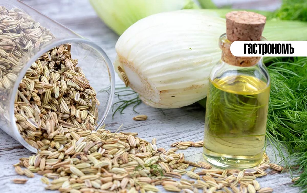 �������� ����: ��� ������� ��� �������� � ������������