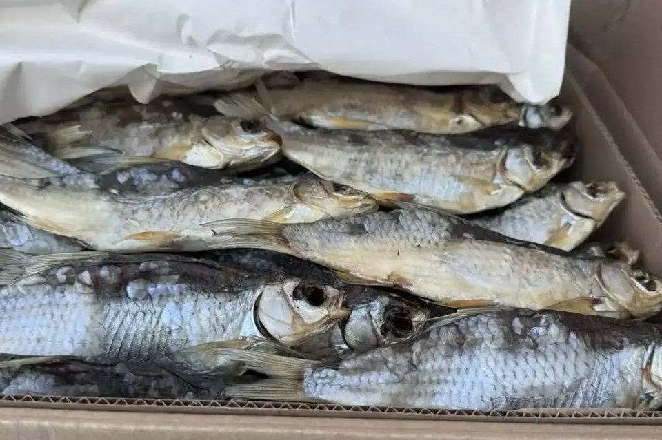 ����������� �������� ���� ��������� � ����������