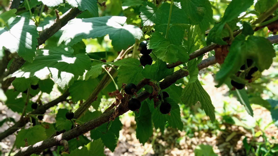 ������� ��������� ������ ��������� � �� �������� �� ������ ������