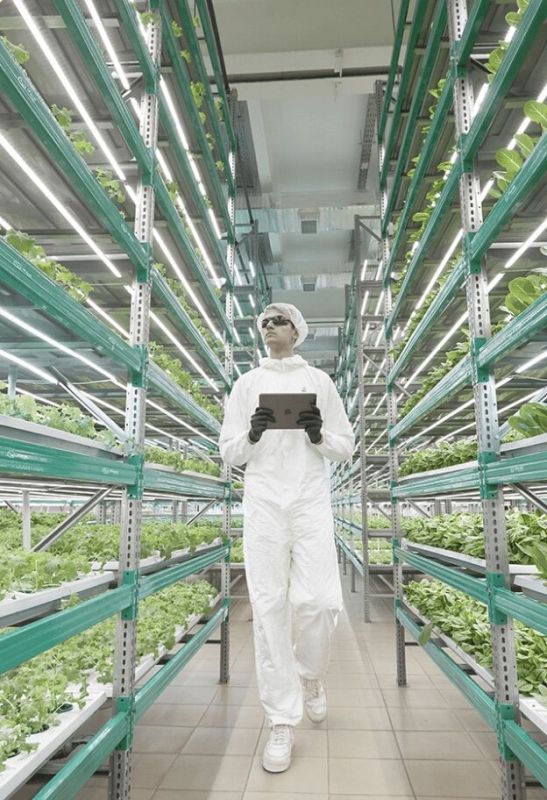 ����������� ����������: ��������� � ������ � ������������� �������