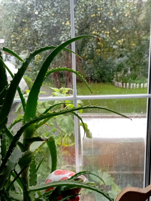 ������� �������: ��������� ��� � ������� ��������