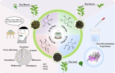 ��� ����� ������������ ������� ��� ������ �� ����� ���