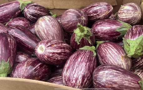 ��� ���������� �� ������ � ����������� � ����������: ������� ��������������