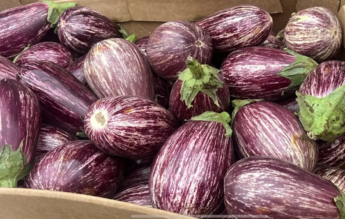 Как избавиться от горечи в грейпфрутах и баклажанах: секреты профессионалов