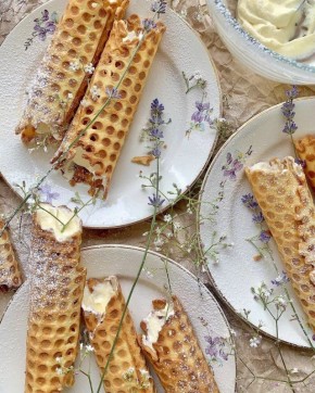 ��������� ��������� �������� ��� ������ ���������