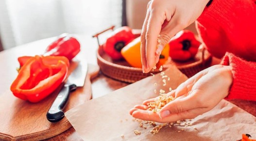 ��������� �������: ��� ������ �������� ������� ����� �� �����