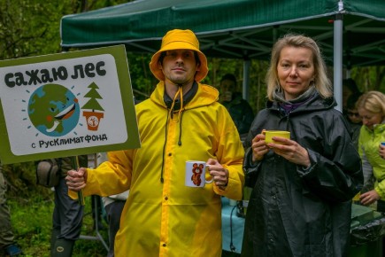 ��� � ���������: ������� ������������� �������� � ��� �������?