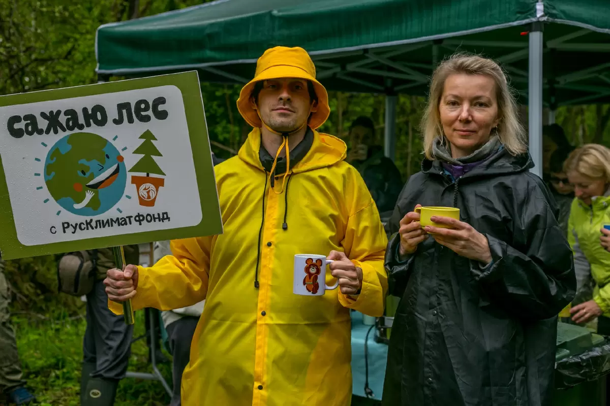 Чай в пакетиках: сколько микропластика попадает в ваш напиток?