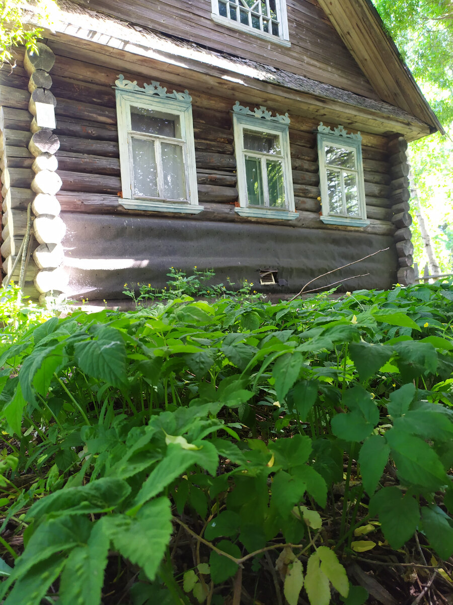 Щи скоромные со снытью