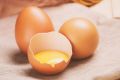Гоголь-моголь: Путешествие во времени и вкусе