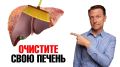 Симптомы слабости печени: как распознать и не упустить сигнал бедствия