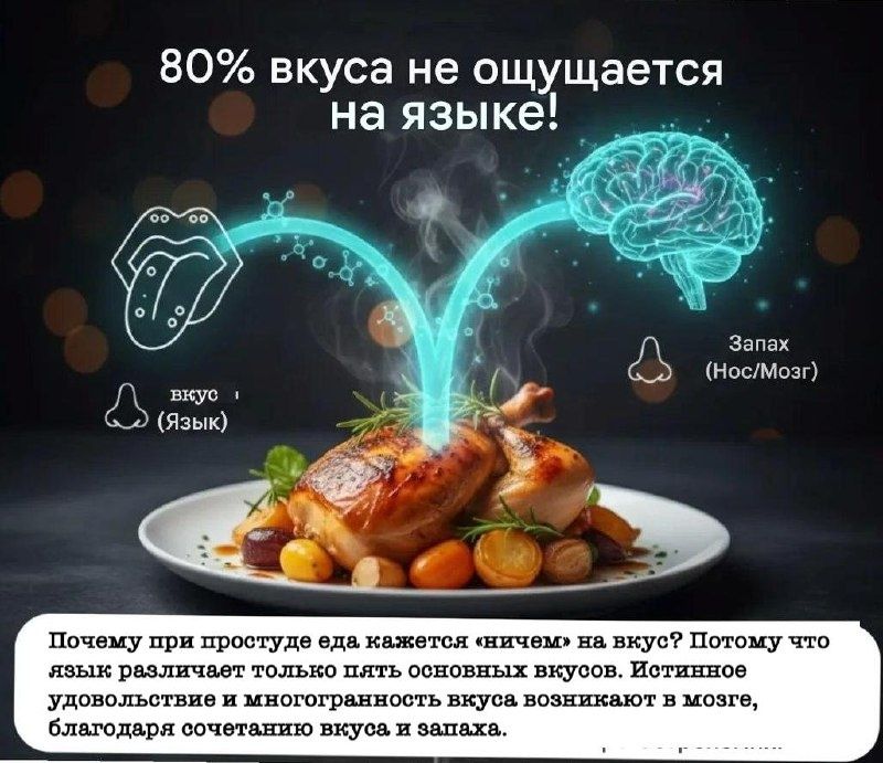 Тайна вкуса: 80% наших ощущений не зависят от языка